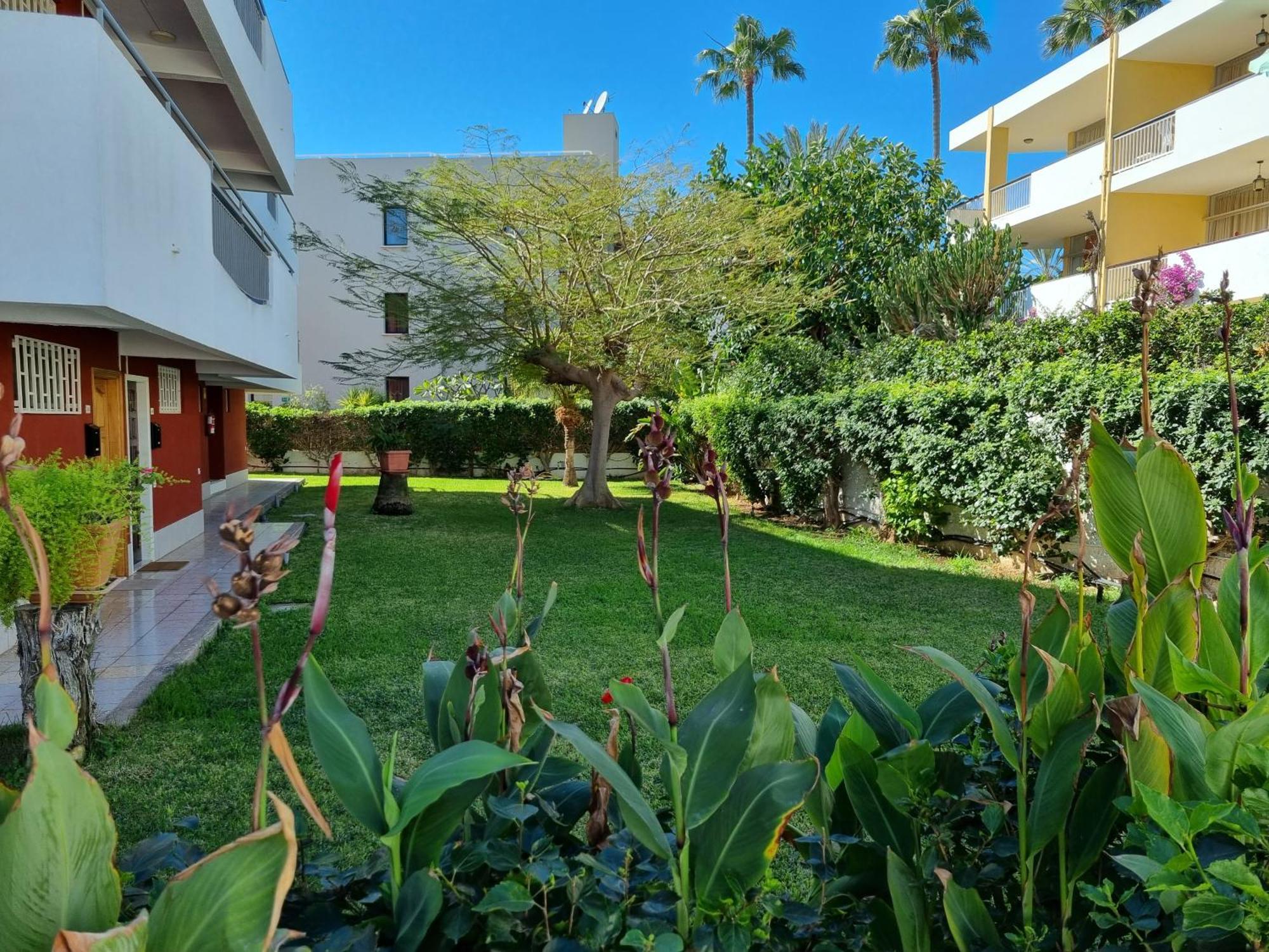 Apartment With Sea View Close To Dunes Of Playa Del Ingles San Bartolome de Tirajana  Exterior photo